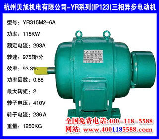 115KW  YRϵ(IP23)첽綯 YR315M2-6A